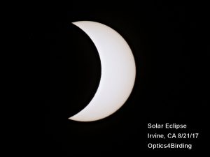 Solar Eclipse in So. California